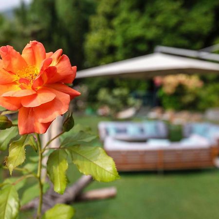 Parkhotel Brenscino Brissago Exterior foto